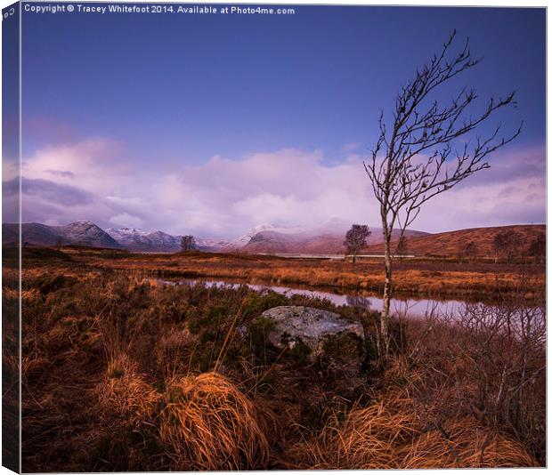 Rannoch Moor Canvas Print by Tracey Whitefoot