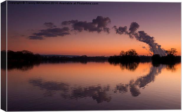 Reflections  Canvas Print by Tracey Whitefoot