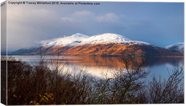  Loch Linnhe  Canvas Print by Tracey Whitefoot