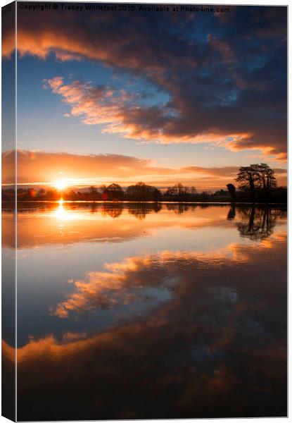 Sunrise Symmetry  Canvas Print by Tracey Whitefoot