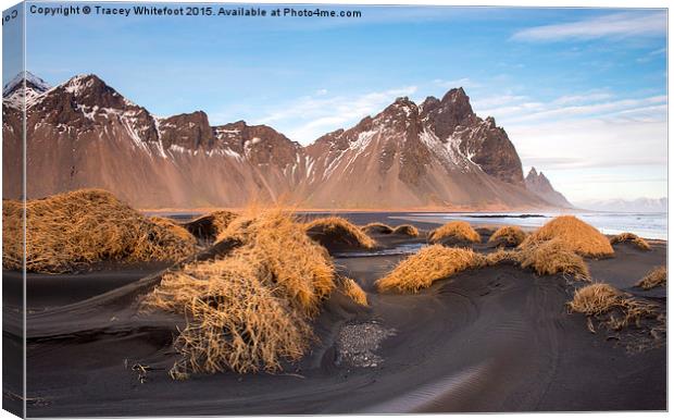  Vestrahorn Mountain Canvas Print by Tracey Whitefoot