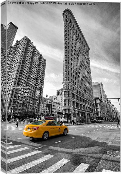 Flatiron  Canvas Print by Tracey Whitefoot