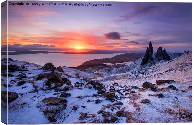 Winter at the Storr  Canvas Print by Tracey Whitefoot