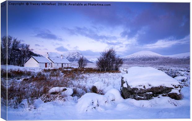 Winter Wonderland  Canvas Print by Tracey Whitefoot