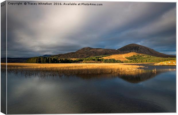 Loch Reflections Canvas Print by Tracey Whitefoot