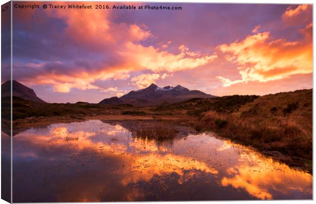 Set fire to the Skye Canvas Print by Tracey Whitefoot