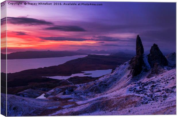 Pre Dawn at the Storr Canvas Print by Tracey Whitefoot