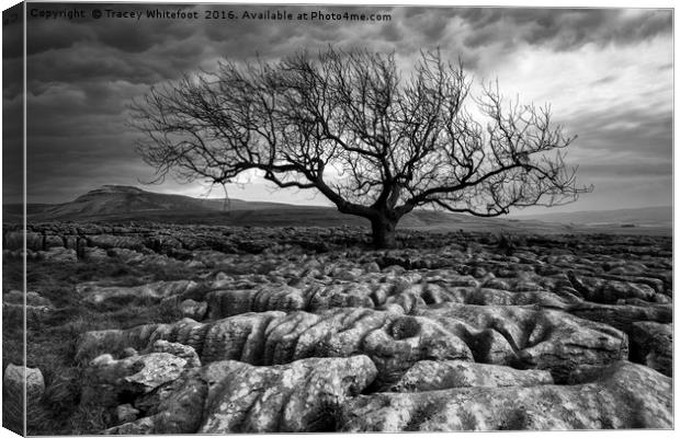 Scarred Landscape II (Mono) Canvas Print by Tracey Whitefoot