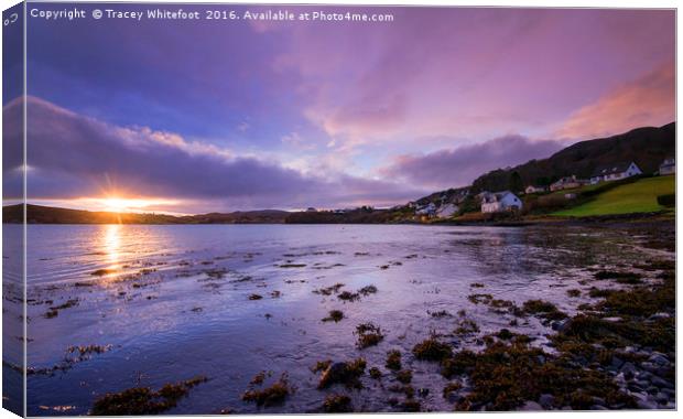 Portree Awakes  Canvas Print by Tracey Whitefoot