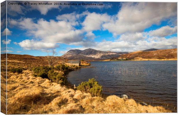 Loch Stack  Canvas Print by Tracey Whitefoot