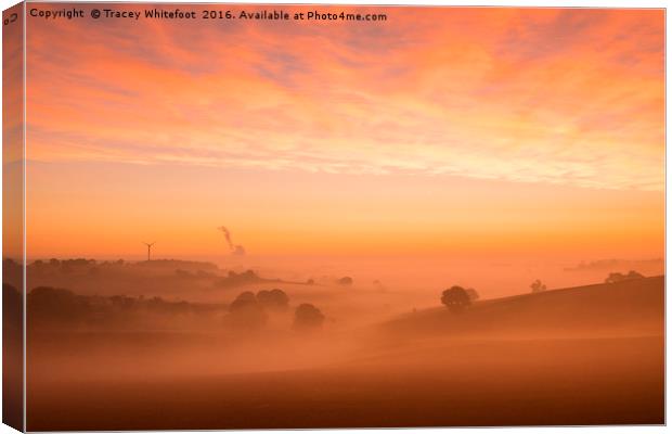 Valley of Mist  Canvas Print by Tracey Whitefoot