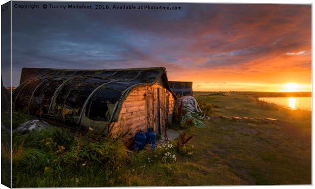 Lindisfarne Dawn  Canvas Print by Tracey Whitefoot