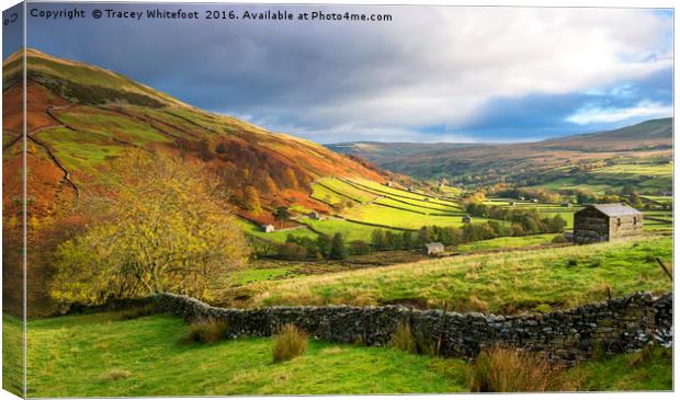 Autumn in Swaledale  Canvas Print by Tracey Whitefoot