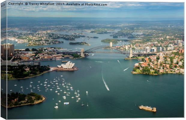 Sydney from the Air  Canvas Print by Tracey Whitefoot
