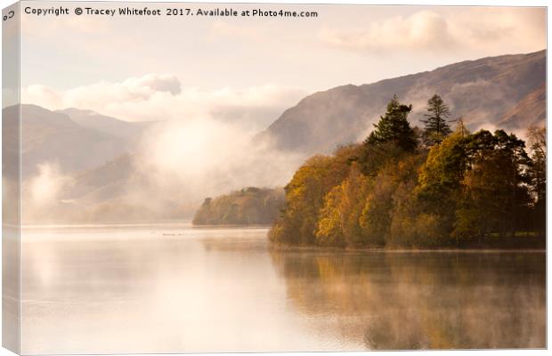 Morning Mist  Canvas Print by Tracey Whitefoot