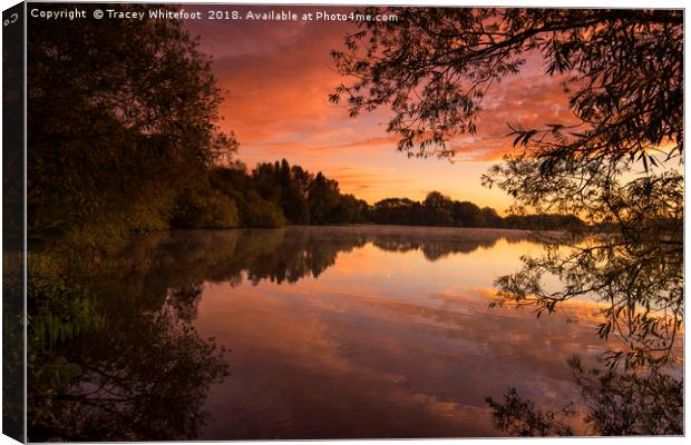 Colwick Sunrise  Canvas Print by Tracey Whitefoot