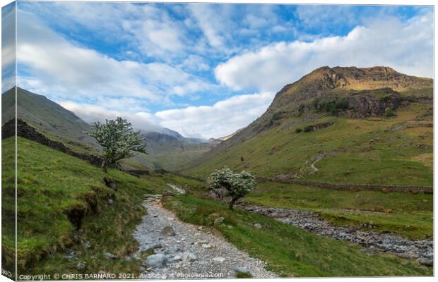 Borrowdale Valley Canvas Print by CHRIS BARNARD