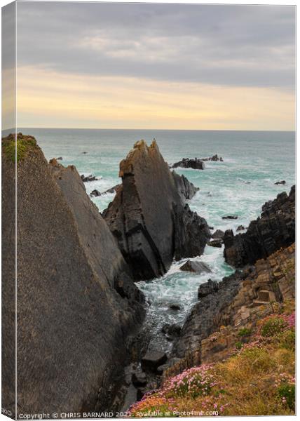 Hartland Quay Rocks Canvas Print by CHRIS BARNARD