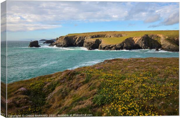 Porthcothan Bay Canvas Print by CHRIS BARNARD