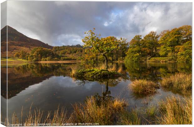 Autumn on Rydal Water Canvas Print by CHRIS BARNARD