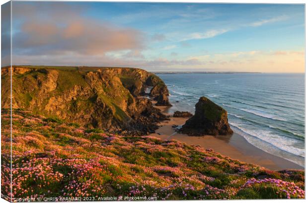 Spring at Bedruthan Steps Canvas Print by CHRIS BARNARD