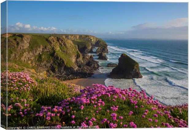 Spring at Bedruthan Steps Canvas Print by CHRIS BARNARD