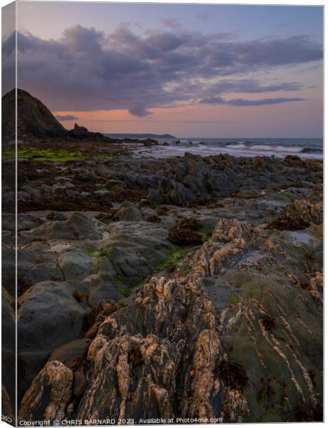 Finnygook Beach Portwrinkle Canvas Print by CHRIS BARNARD