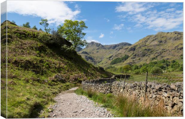 The Langdale Valley Canvas Print by CHRIS BARNARD