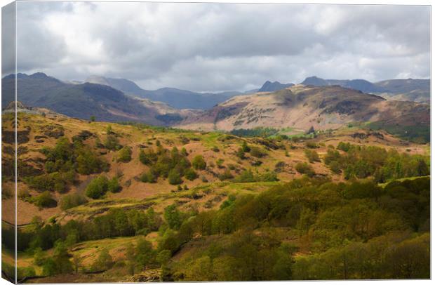 View To The Pikes Canvas Print by CHRIS BARNARD