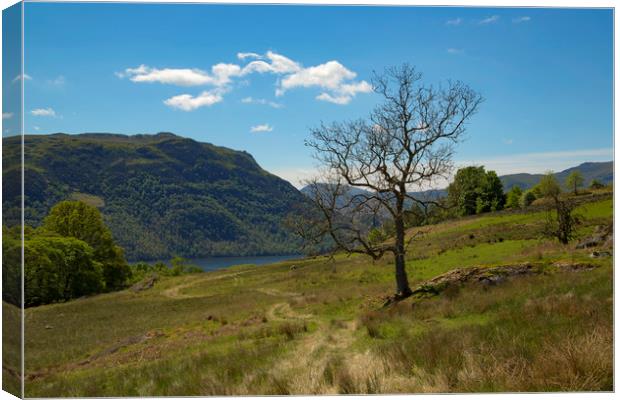 Lakeland Scene Canvas Print by CHRIS BARNARD