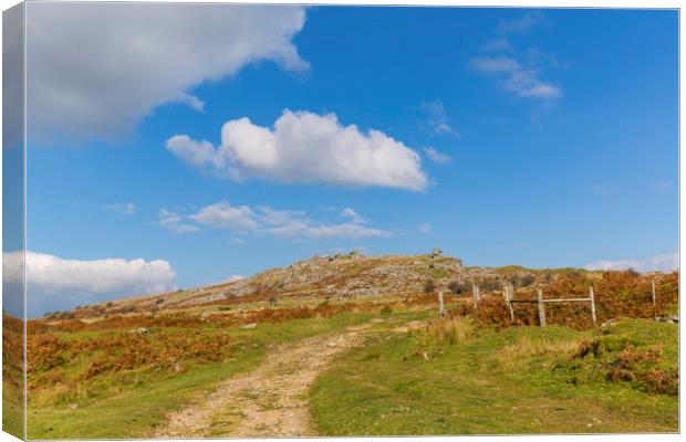 The Cheesewring on Bodmin Moor Canvas Print by CHRIS BARNARD