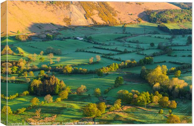 Sunrise Newlands Valley Canvas Print by CHRIS BARNARD