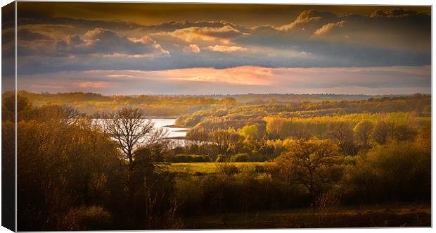 Bewl Water - Evening Light Canvas Print by steve weston