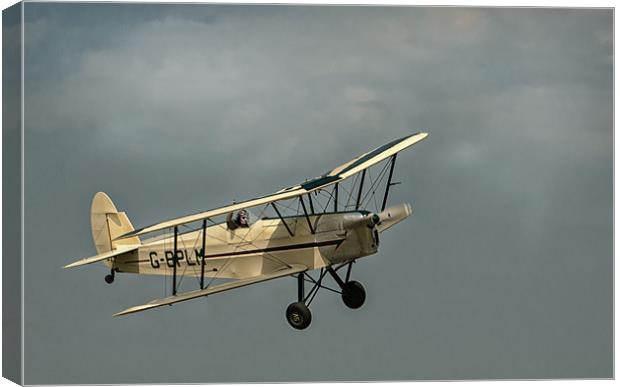 Storm Flight Canvas Print by steve weston