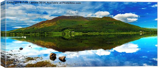 Dodd Wood Reflections Canvas Print by Pete Lawless