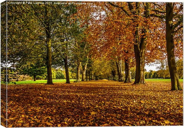  Autumn Avenue Canvas Print by Pete Lawless