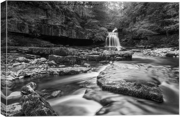 West Burton Waterfall Yorkshire Dales Canvas Print by Pete Lawless