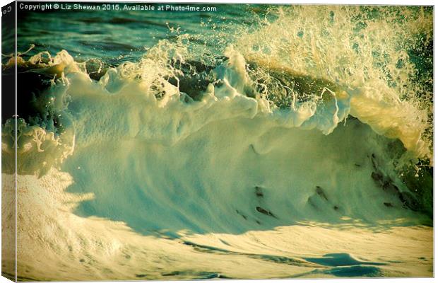  Waves of Charmouth Canvas Print by Liz Shewan