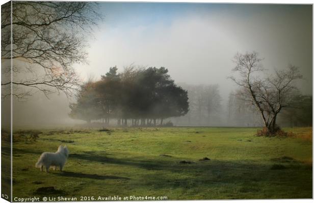 West Highland Terrier overlooking Misty Tree View  Canvas Print by Liz Shewan