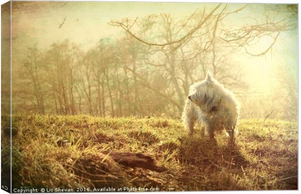 Mystic Westie for West Highland White Terrier Dog  Canvas Print by Liz Shewan