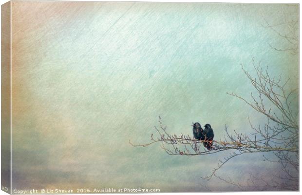 Crow Watch Lovers - artsy style Canvas Print by Liz Shewan