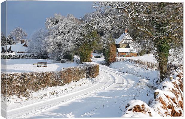 The House Up The Lane Canvas Print by Mark  F Banks