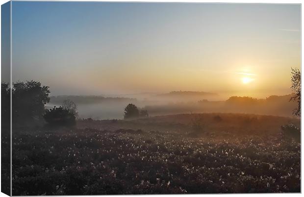 Dawning of a New Day Canvas Print by Mark  F Banks