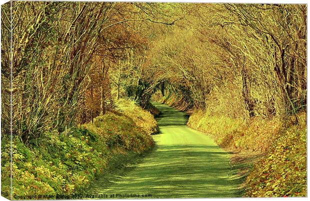 The Lane Canvas Print by Mark  F Banks