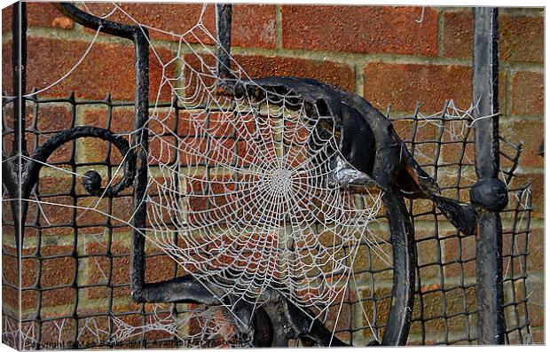 Frozen Spider Web Canvas Print by Mark  F Banks