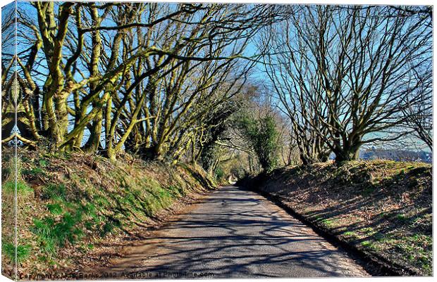 Frensham Lane Canvas Print by Mark  F Banks