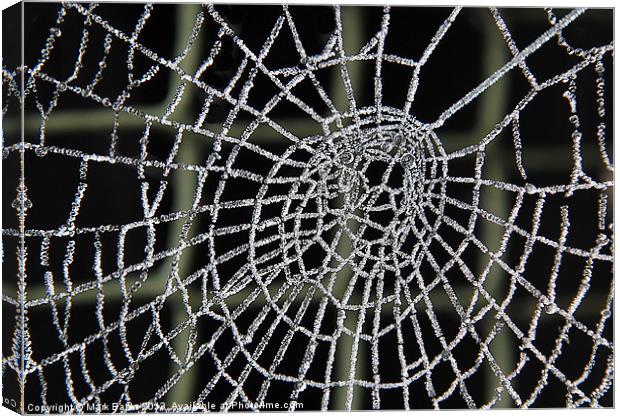 Frozen Web Canvas Print by Mark  F Banks