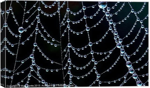 Natures Jewellery Canvas Print by Mark  F Banks