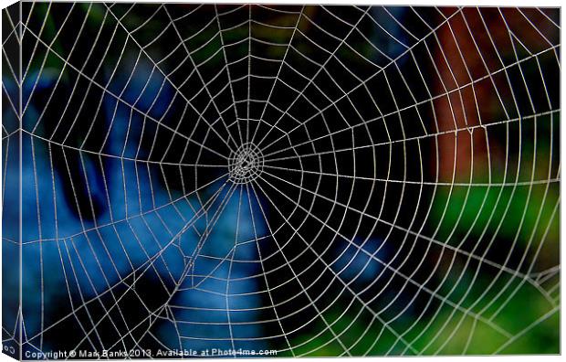 Spiderweb Canvas Print by Mark  F Banks