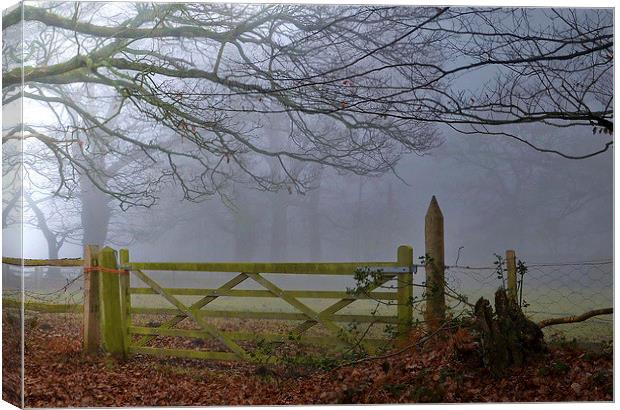 Emmas Farm Gate Canvas Print by Mark  F Banks